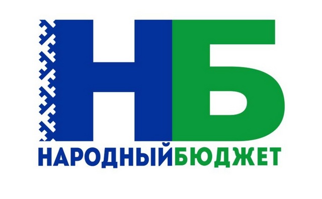 Народный бюджет. В Сыктывкаре 19 народных проектов одобрили для отбора на республиканском уровне